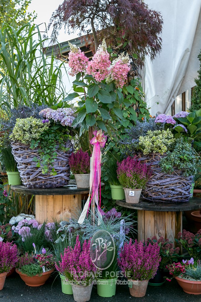 Blumenarrangement in warmen Farben