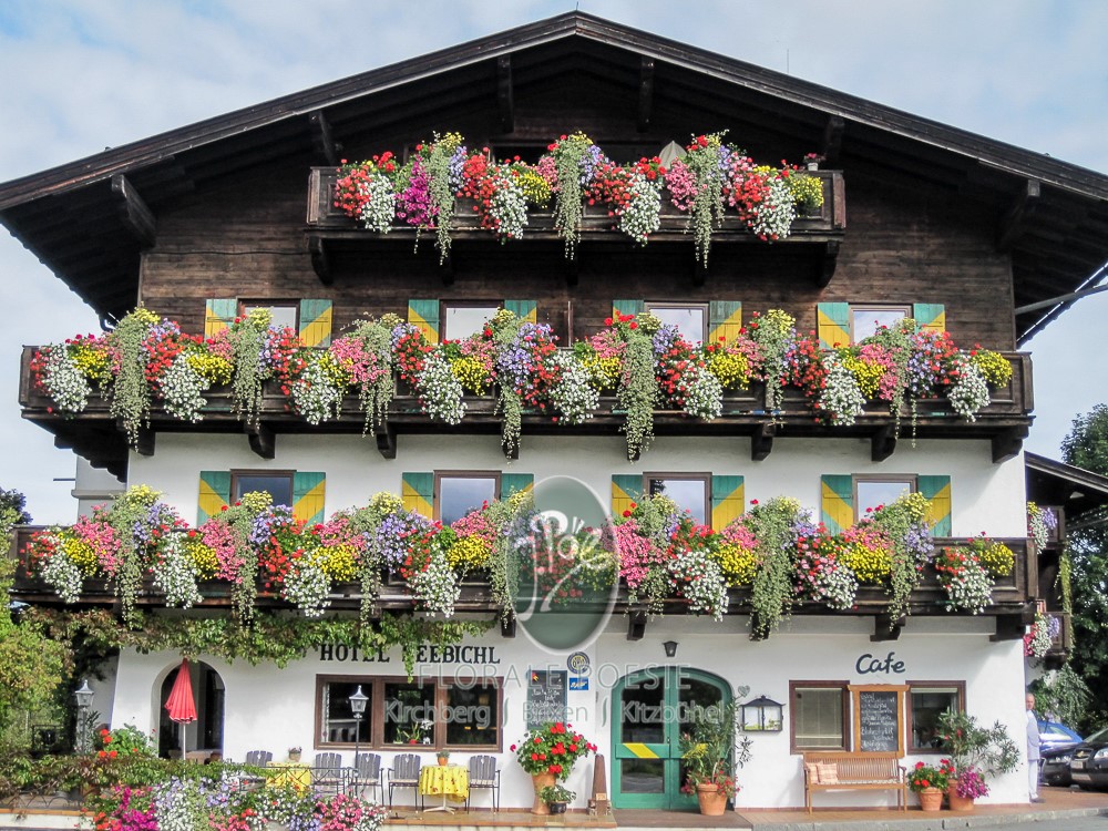 EM-Beratung und Produkte bei Florale Poesie