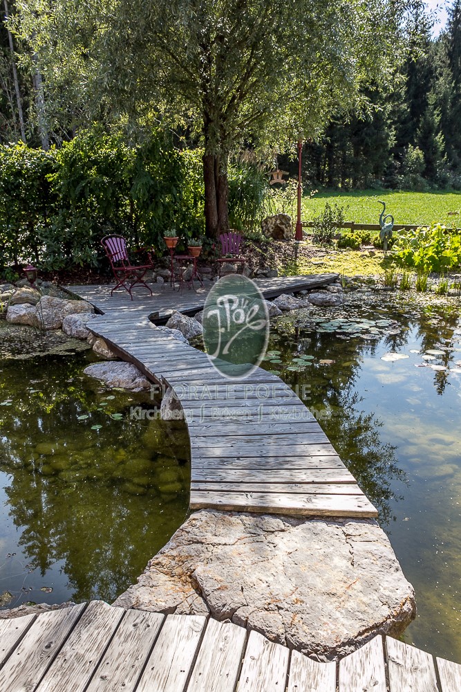 Gartenteich mit Bepflanzung am Ufer