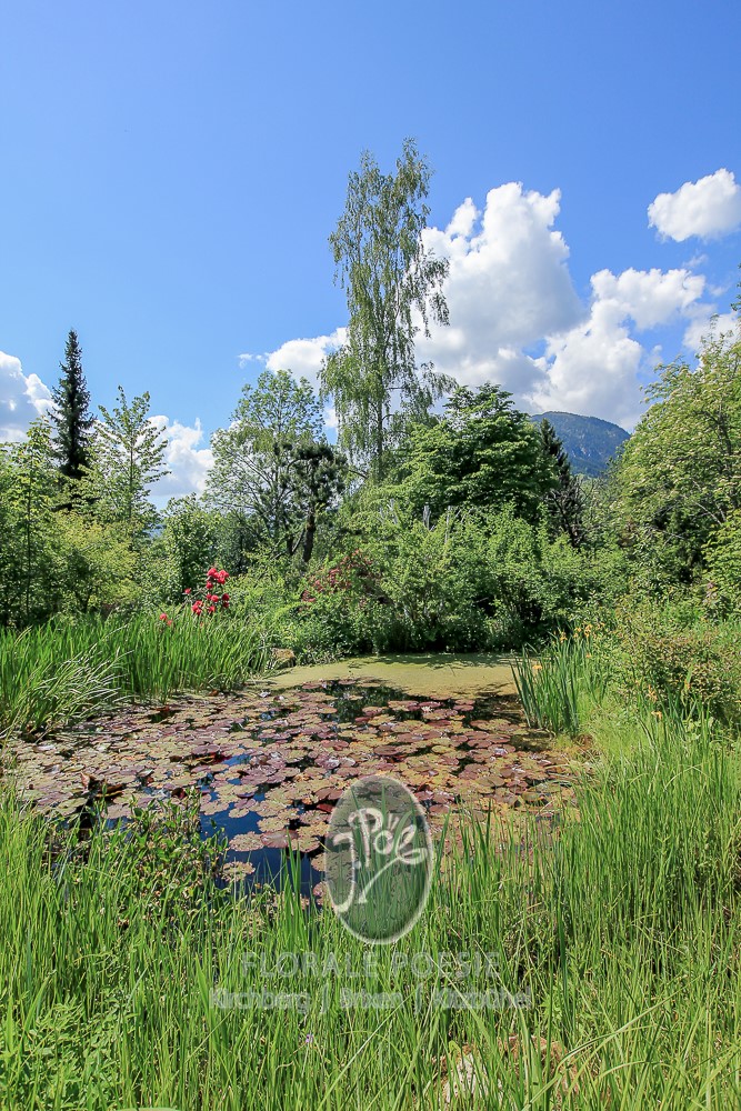Wassergarten von Josef Pöll — Teichlandschaft in Tirol