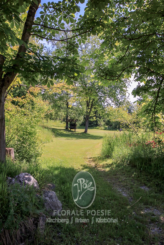 Naturgarten voller Leben — Wildblumenwiese