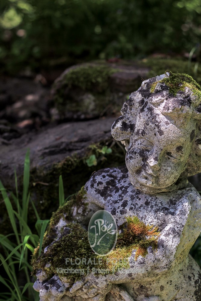 Natürlich wachsender Wildgarten in Tirol