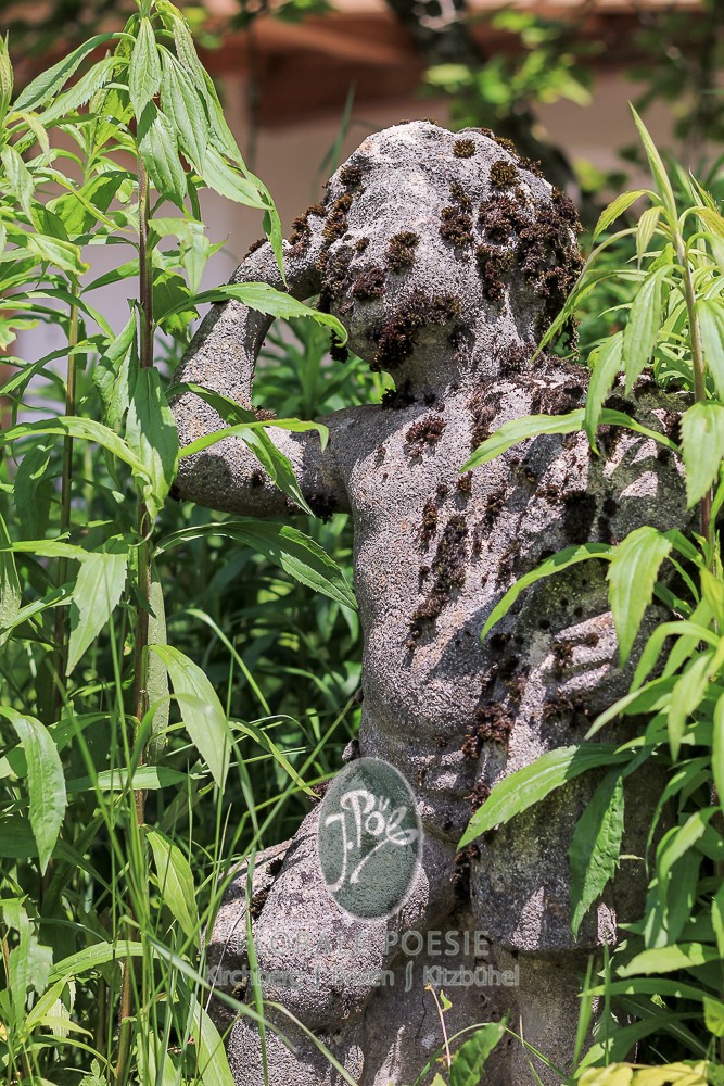 Blühender Naturgarten mit Wildstauden