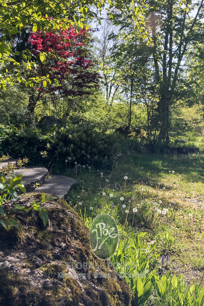 Wilde Gartenlandschaft, gepflegt von Florale Poesie