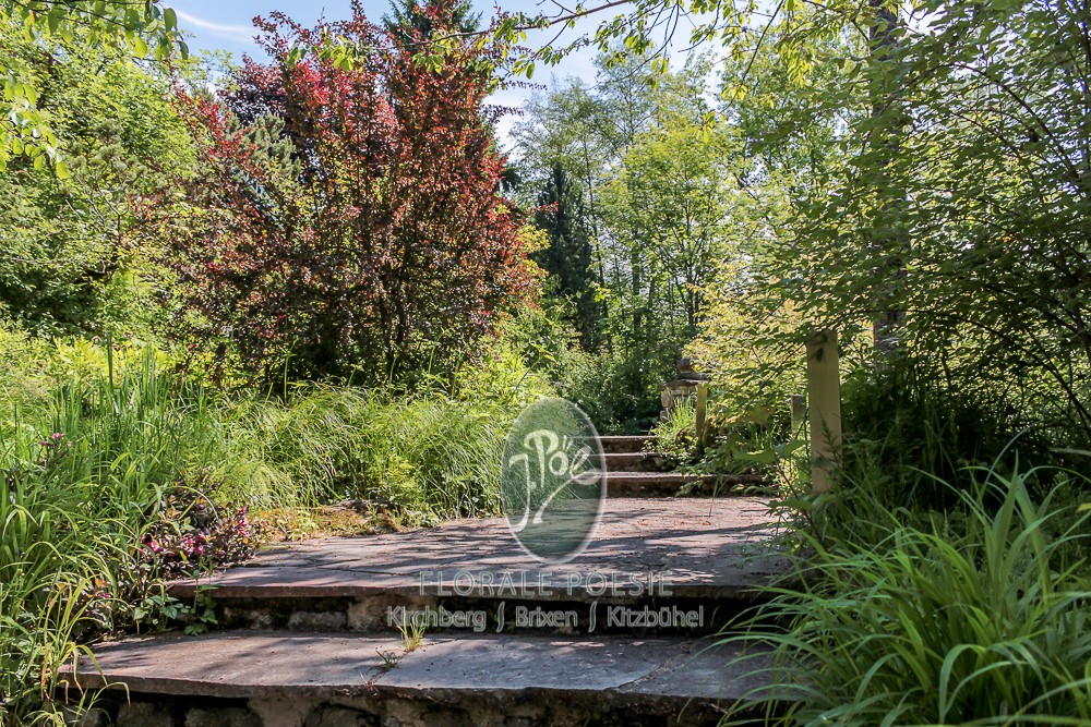 Entdeckungsreicher Wildgarten für Naturliebhaber